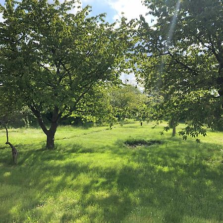 הוסטל בראנדנבורג Hof Maerkische Heide מראה חיצוני תמונה